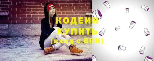 хмурый Ладушкин