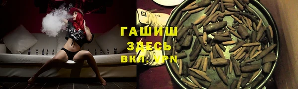 прущие грибы Краснотурьинск