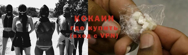 хмурый Ладушкин