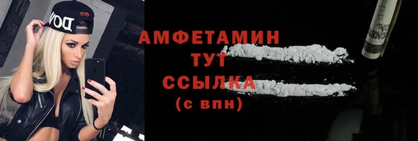 прущие грибы Краснотурьинск