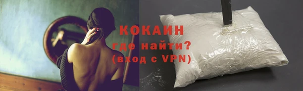 стаф Лихославль