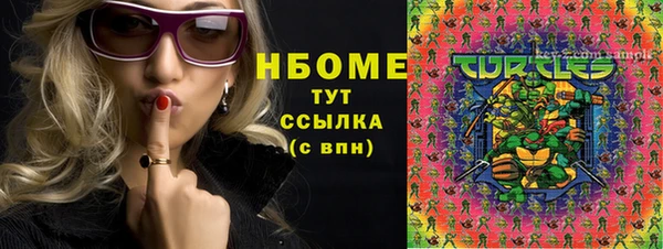 хмурый Ладушкин