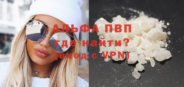 прущие грибы Краснотурьинск