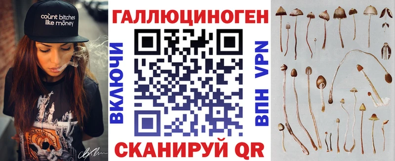 Купить  Выкса  Галлюциногенные грибы Psilocybine cubensis 